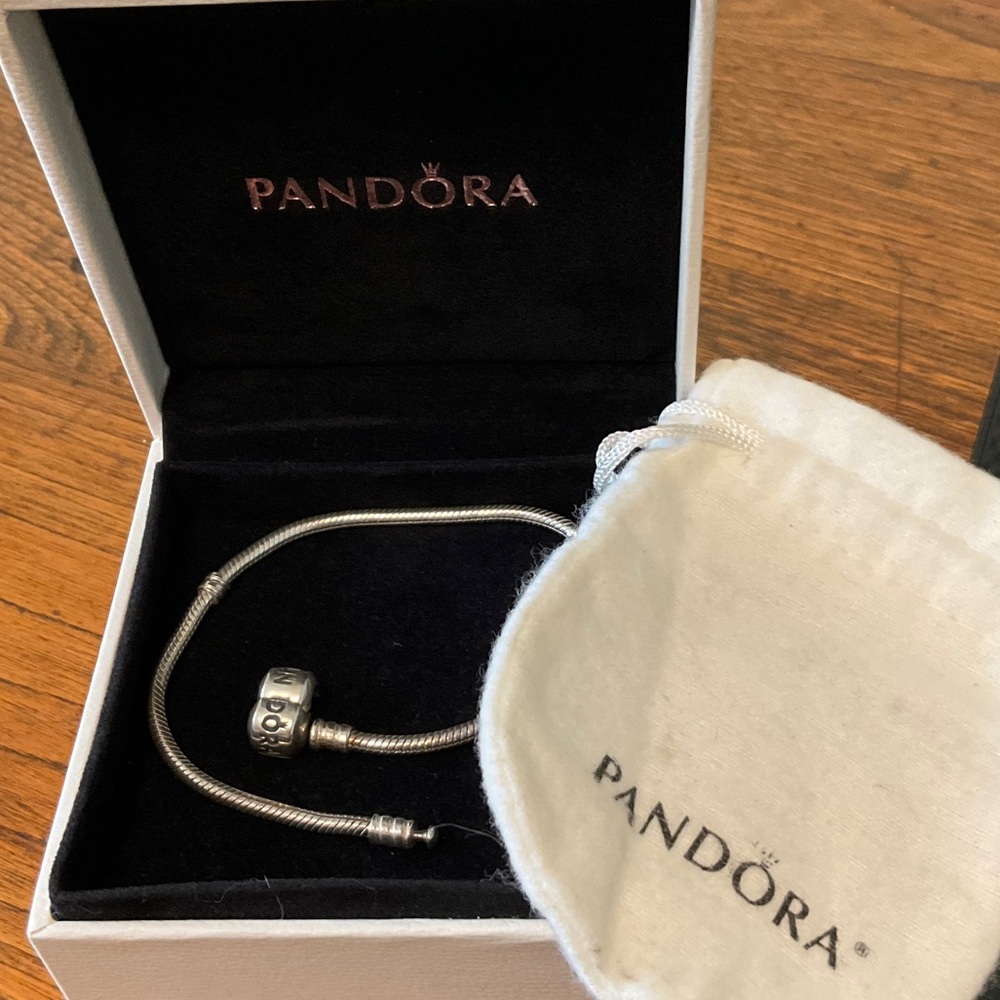 Pandora Silver Snake Bracelet